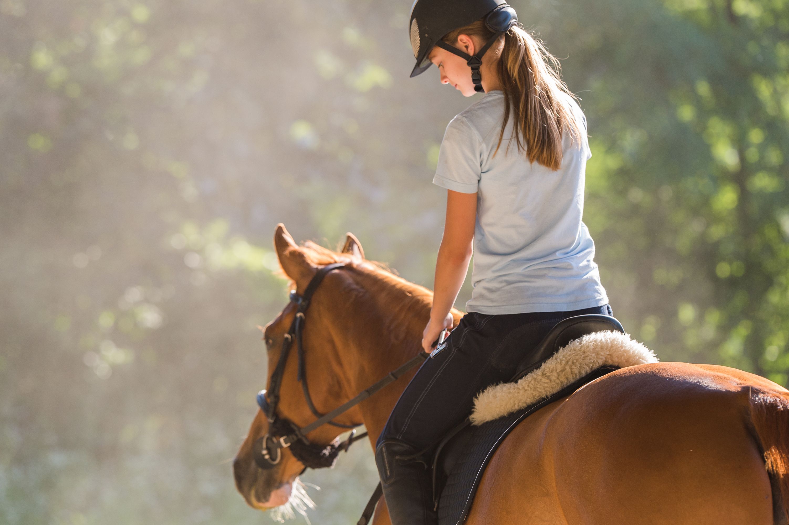 Horse ride